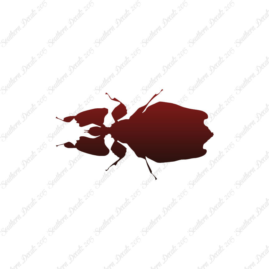 Dung Beetle Insect