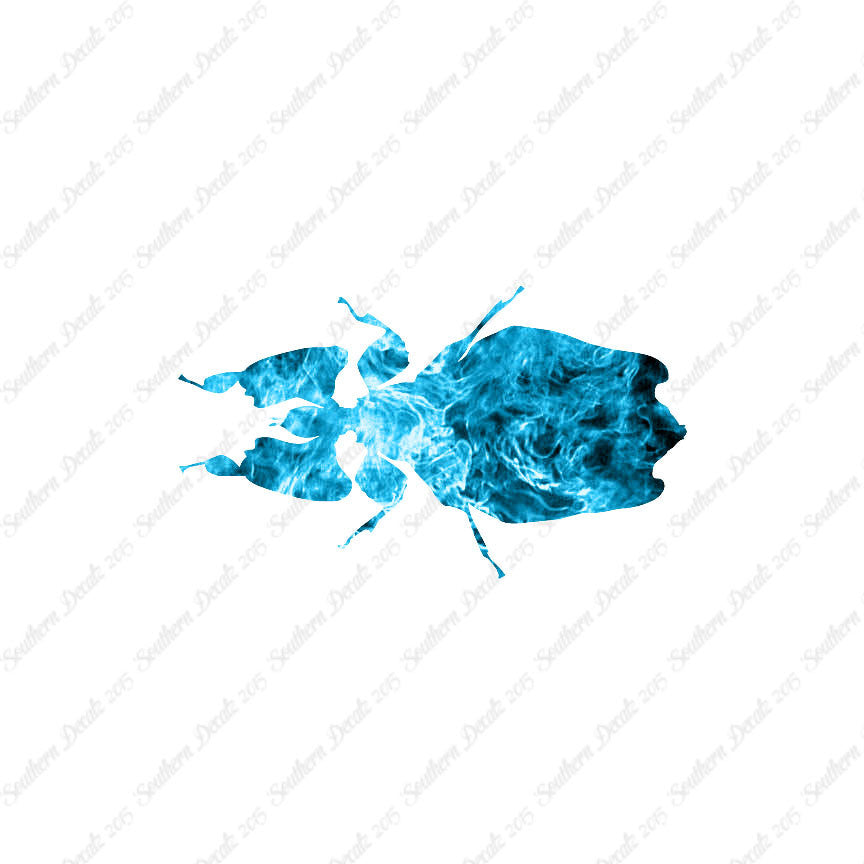 Dung Beetle Insect