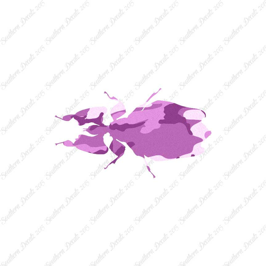 Dung Beetle Insect
