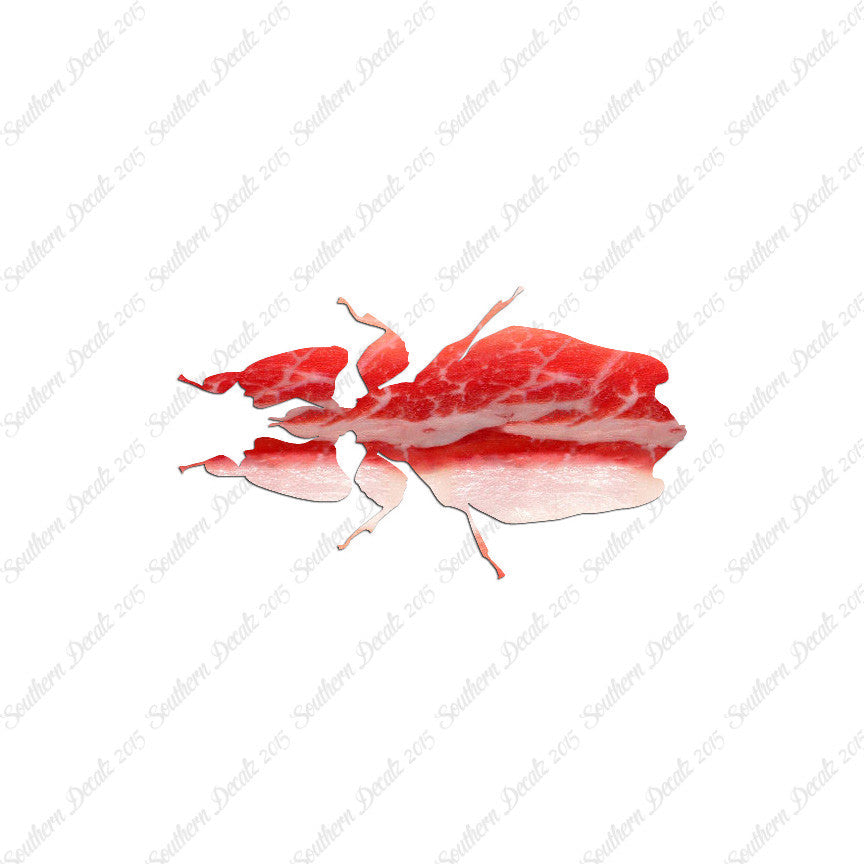 Dung Beetle Insect