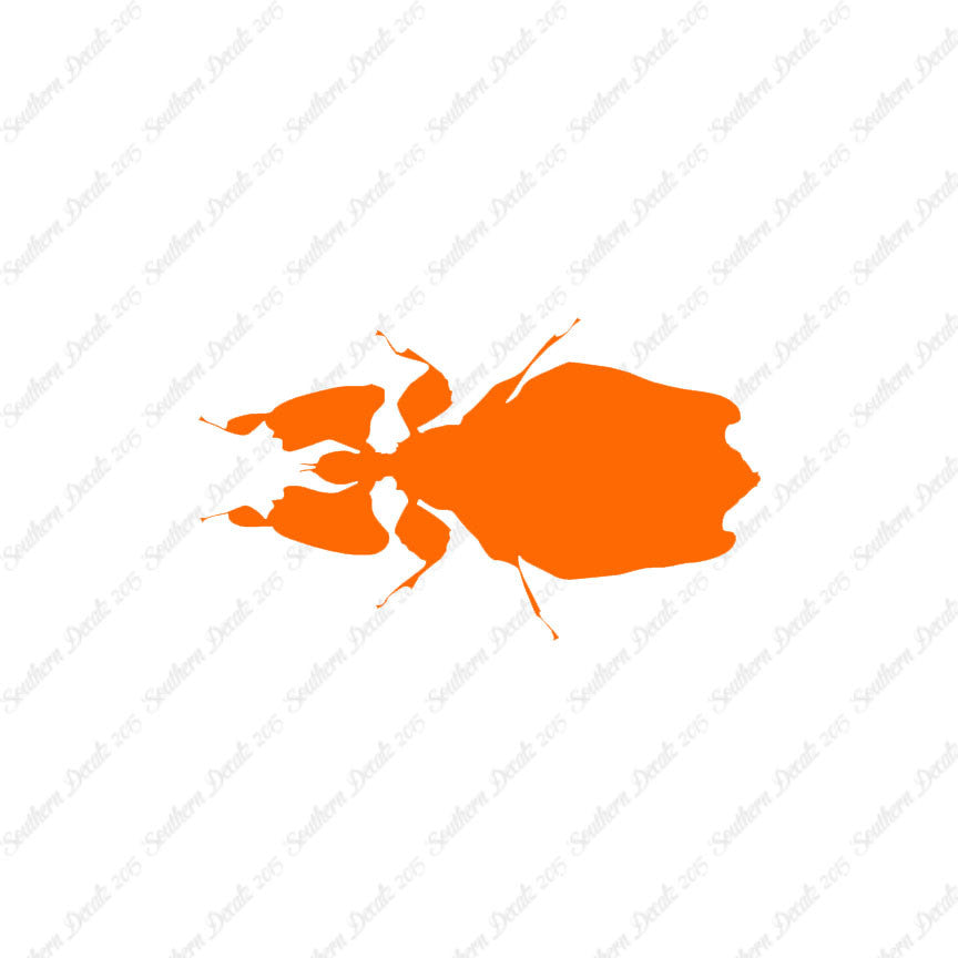 Dung Beetle Insect