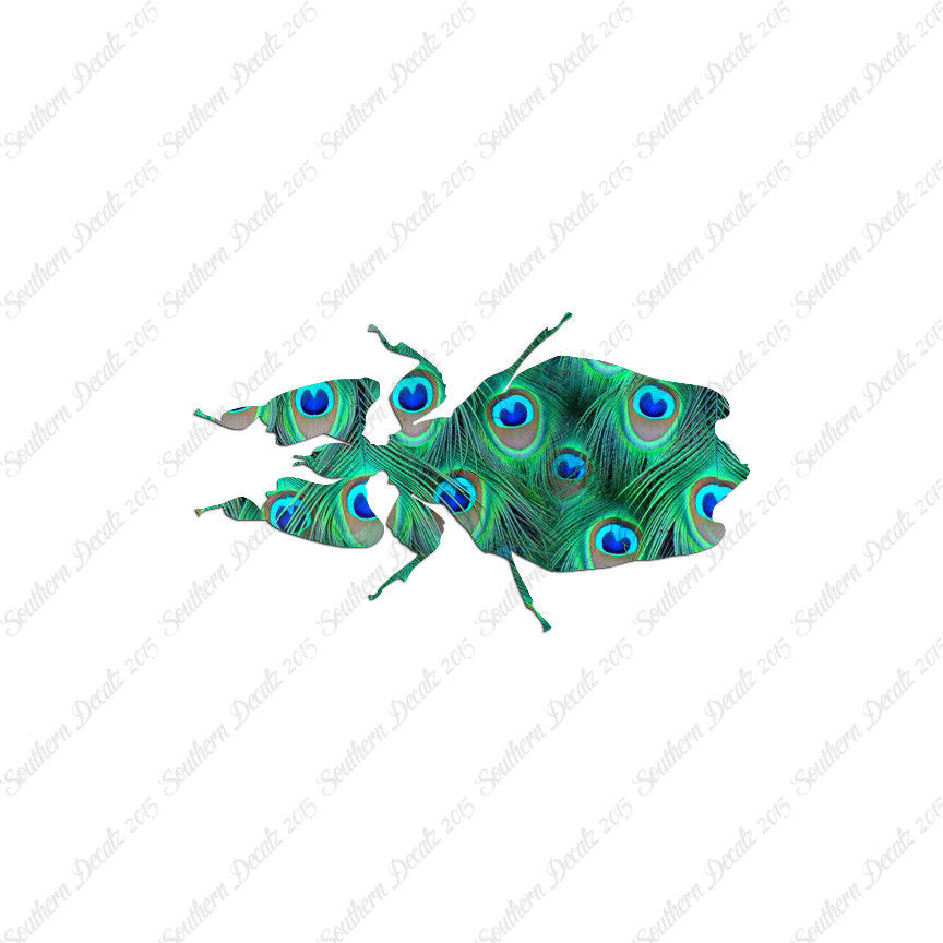 Dung Beetle Insect