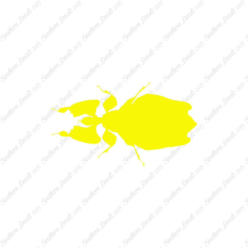Dung Beetle Insect