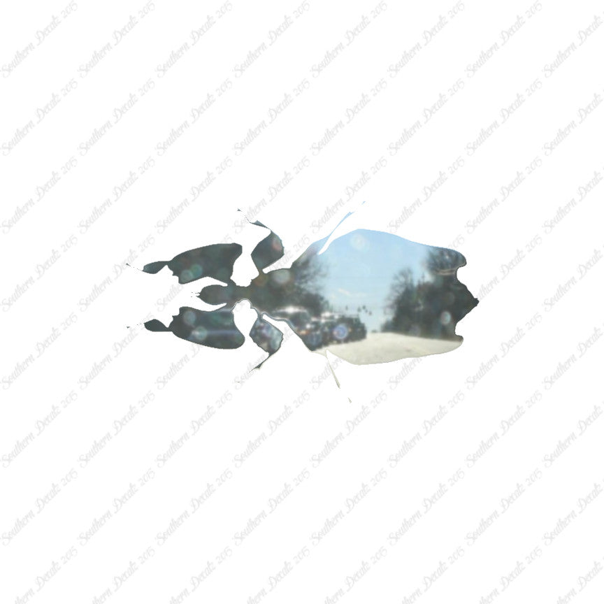 Dung Beetle Insect