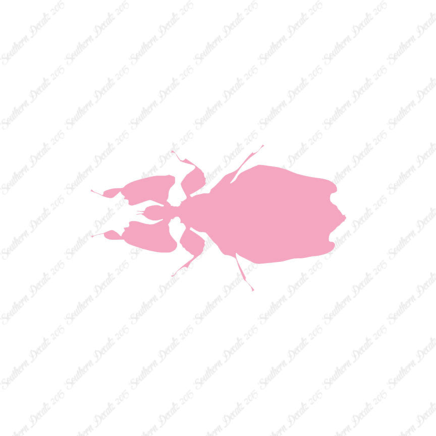 Dung Beetle Insect