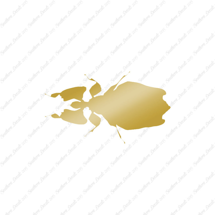 Dung Beetle Insect