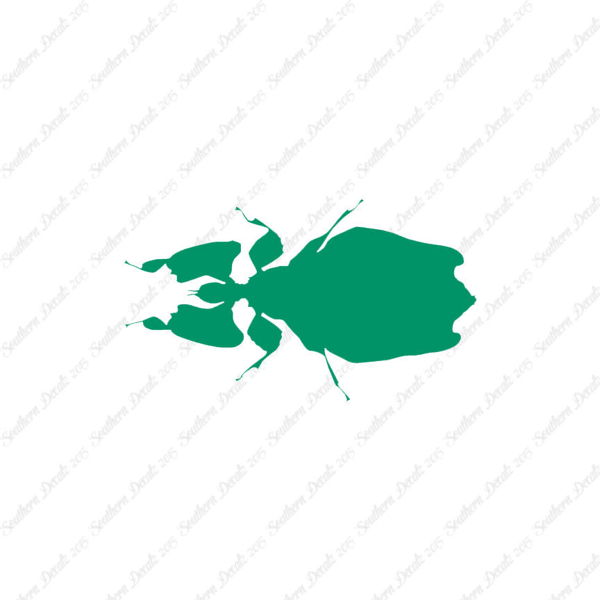 Dung Beetle Insect
