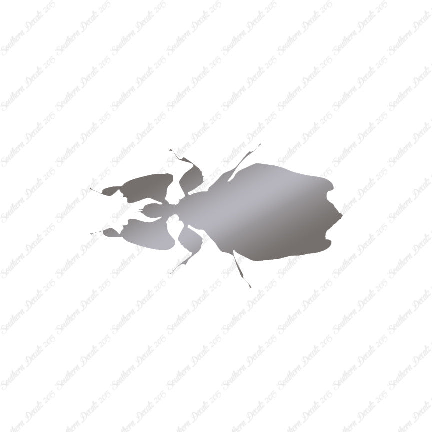 Dung Beetle Insect
