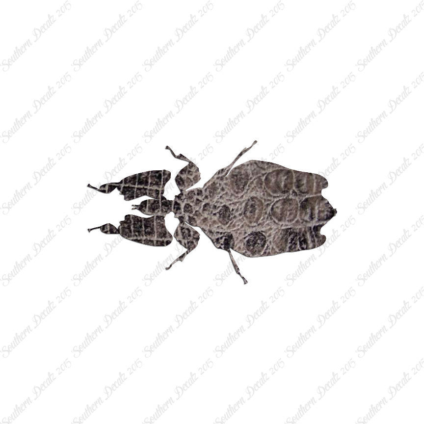 Dung Beetle Insect
