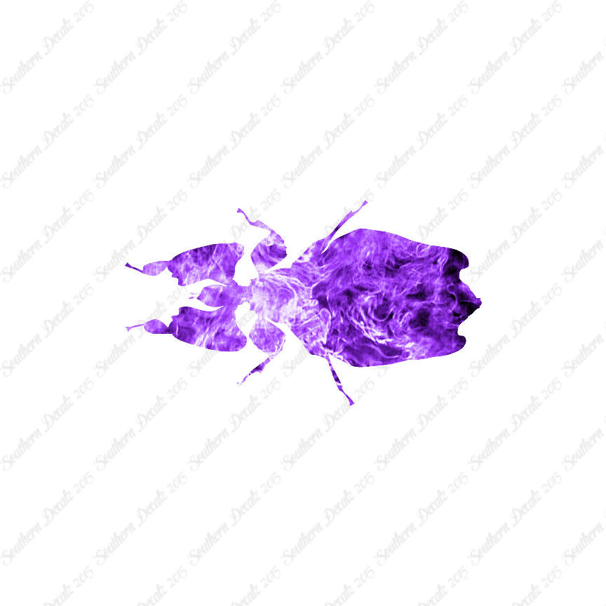 Dung Beetle Insect