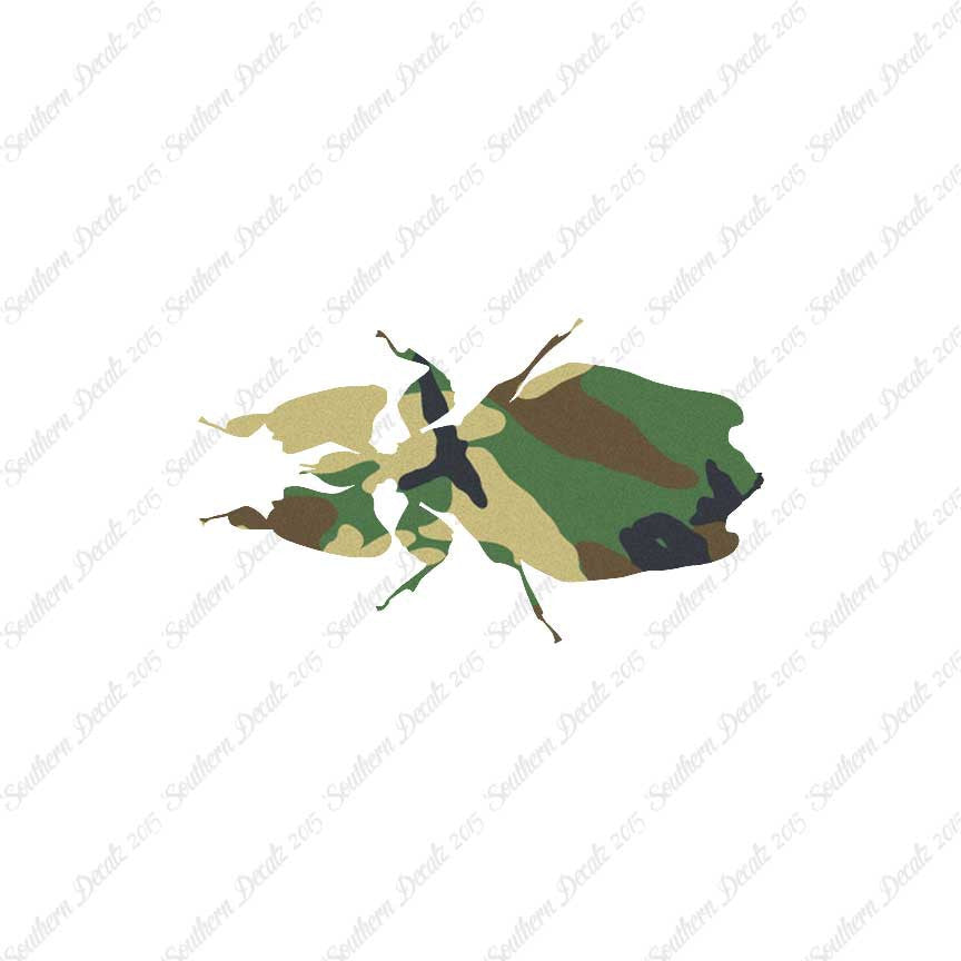 Dung Beetle Insect