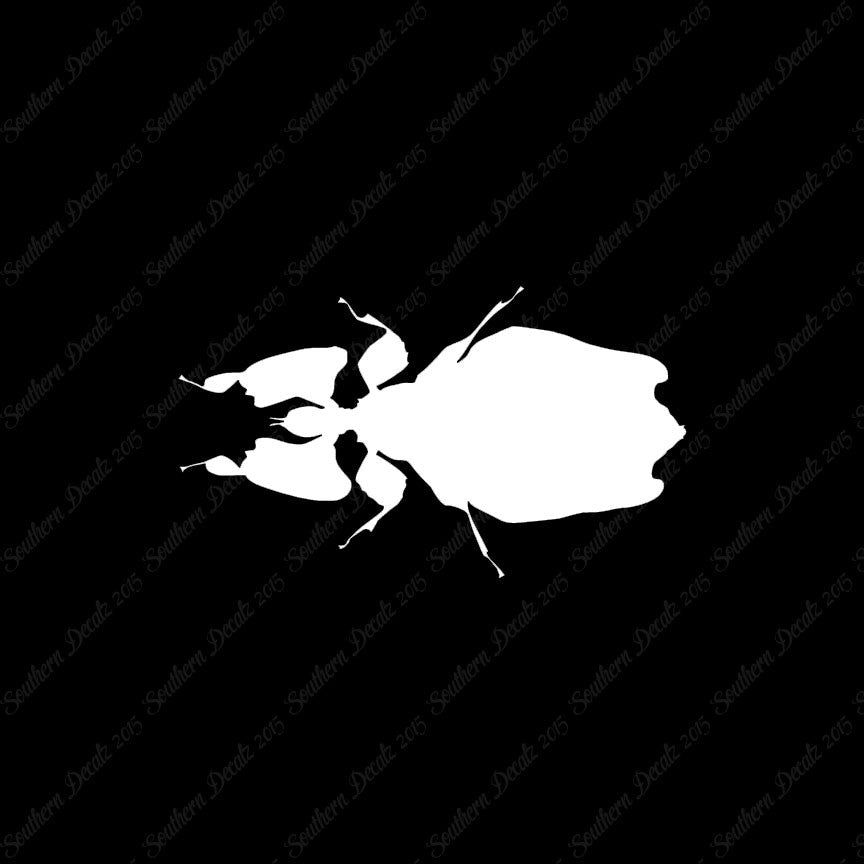 Dung Beetle Insect