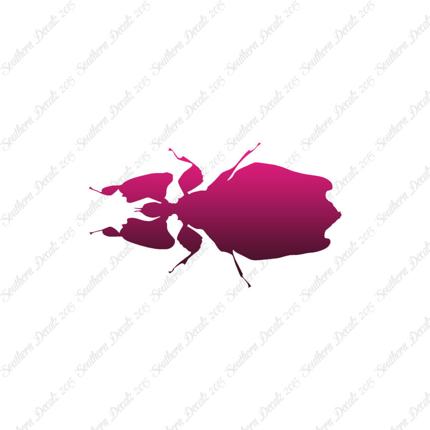 Dung Beetle Insect