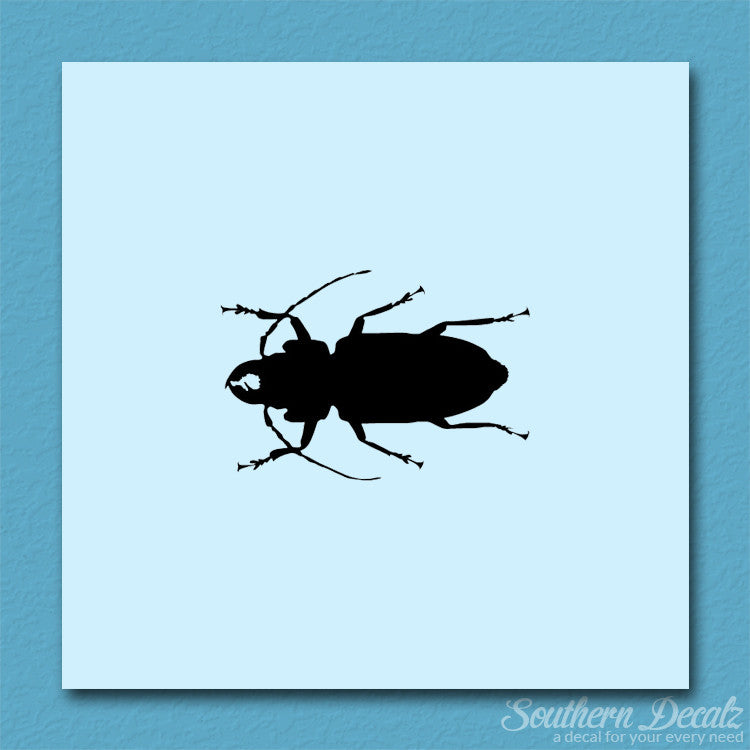Soldier Borer Beetle