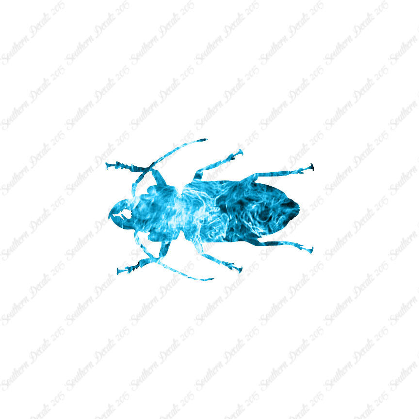 Soldier Borer Beetle