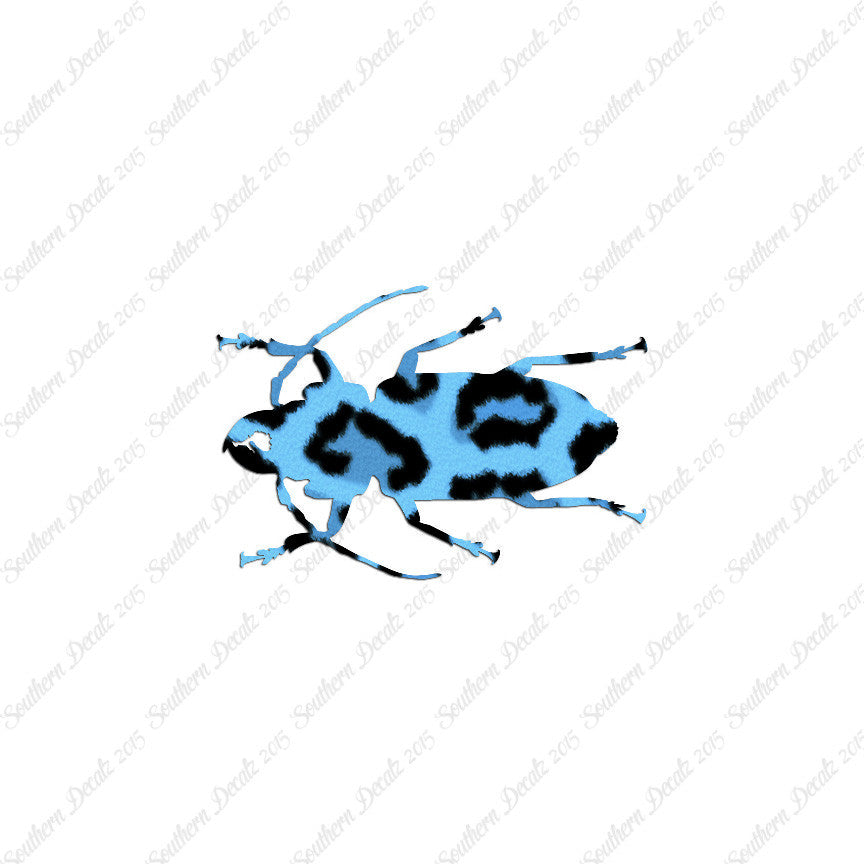 Soldier Borer Beetle