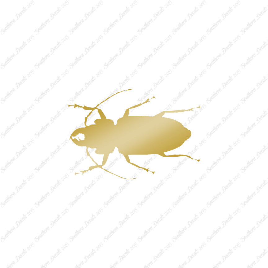 Soldier Borer Beetle