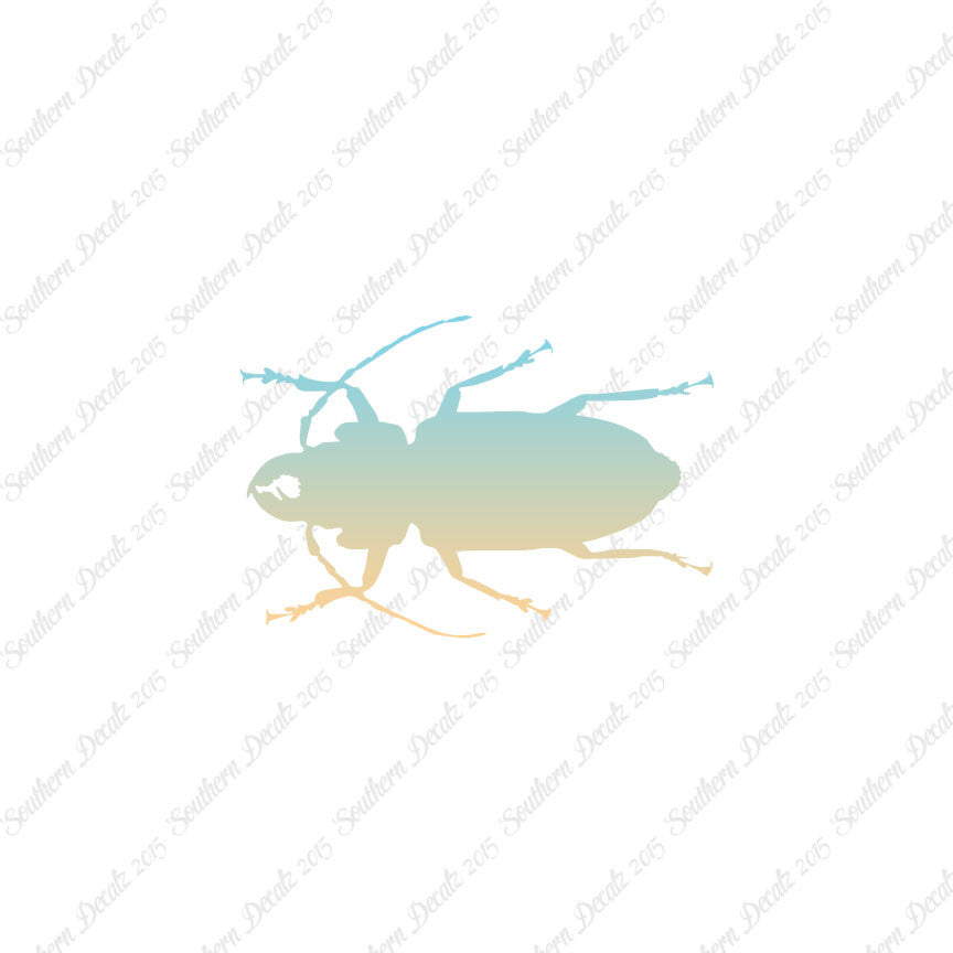 Soldier Borer Beetle