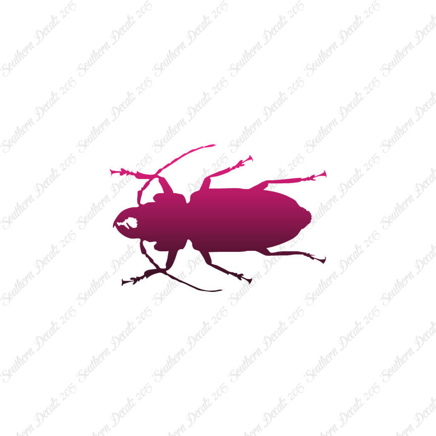 Soldier Borer Beetle