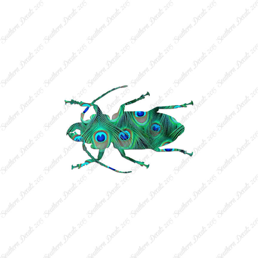 Soldier Borer Beetle