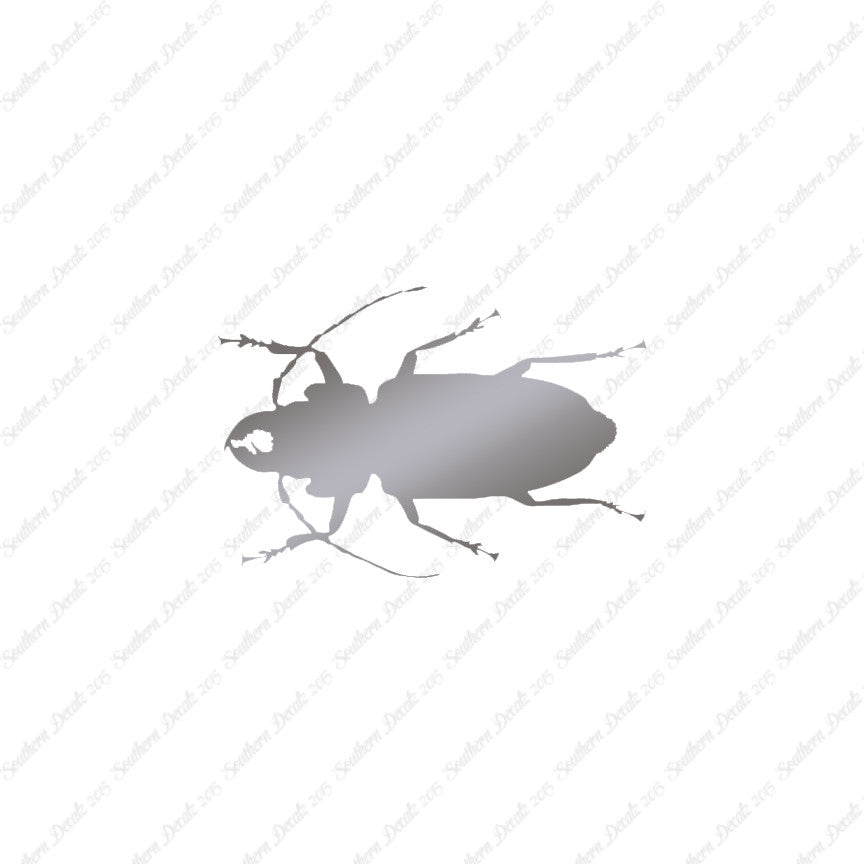 Soldier Borer Beetle