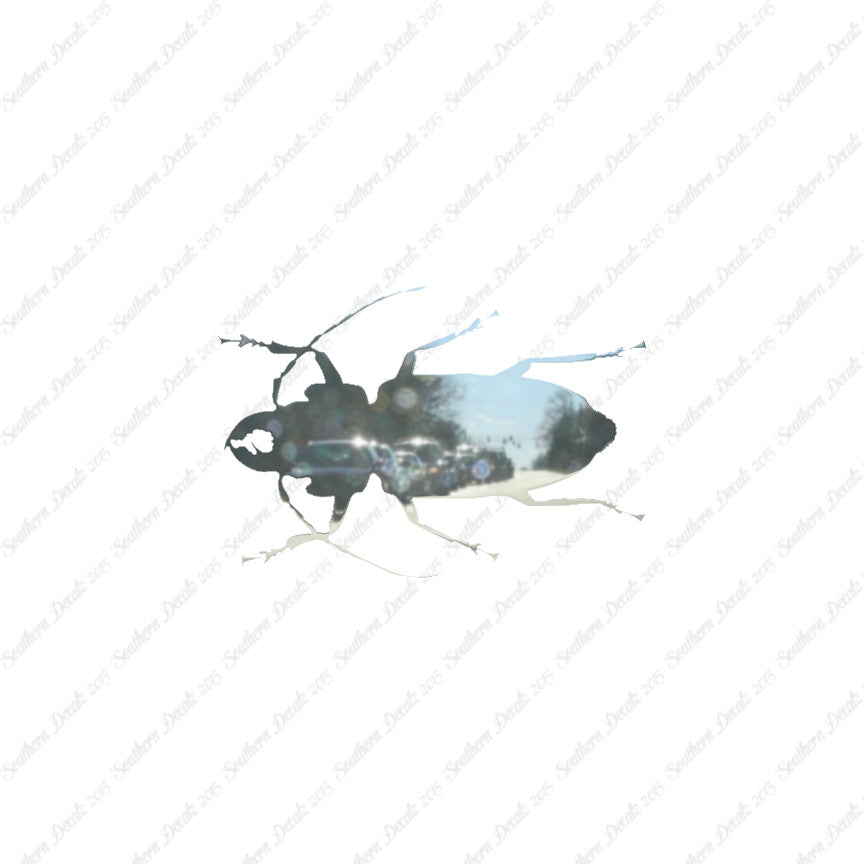Soldier Borer Beetle