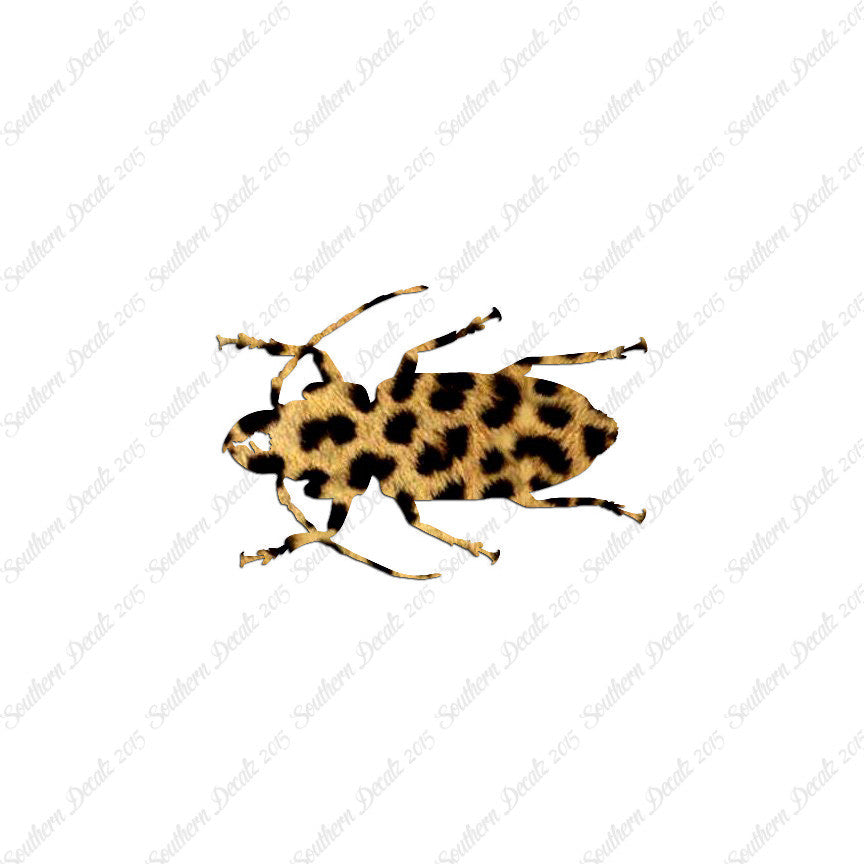 Soldier Borer Beetle