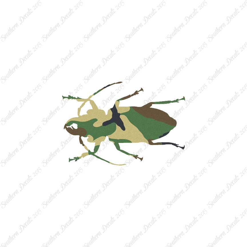 Soldier Borer Beetle