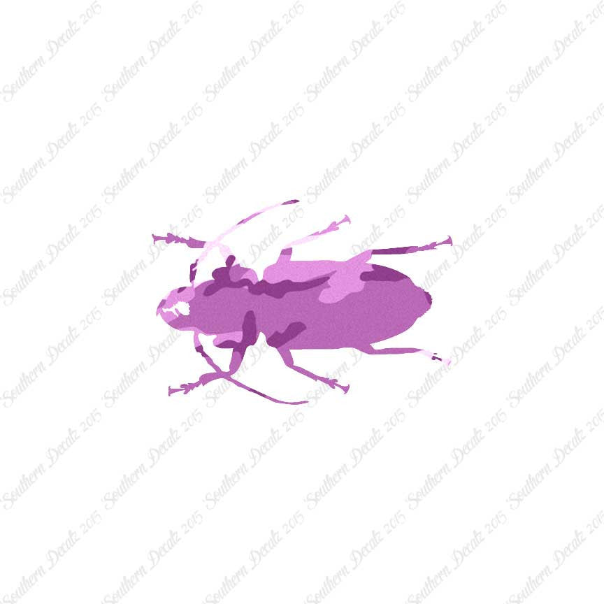 Soldier Borer Beetle