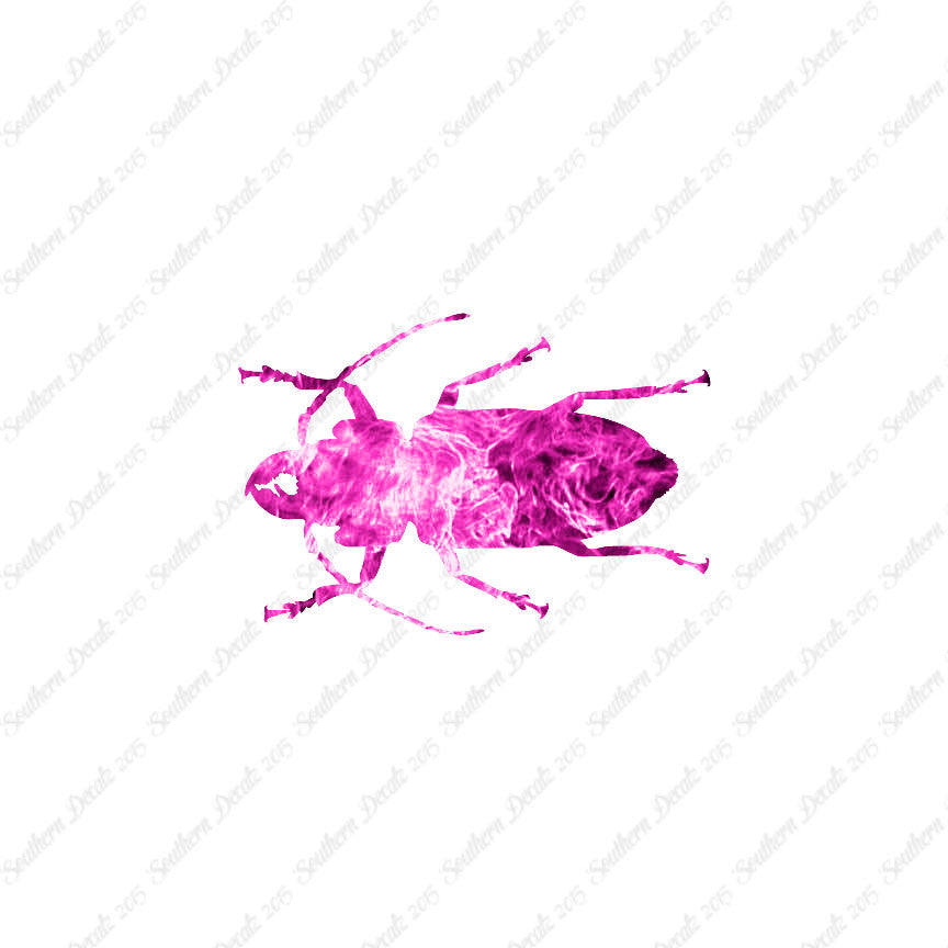 Soldier Borer Beetle