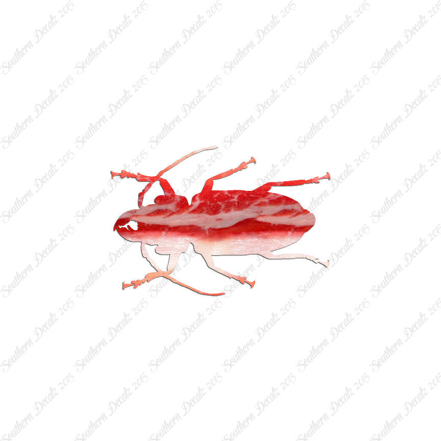 Soldier Borer Beetle