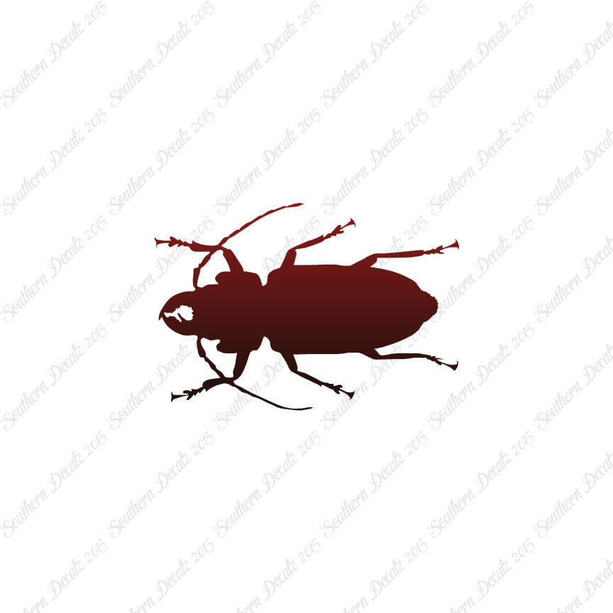 Soldier Borer Beetle