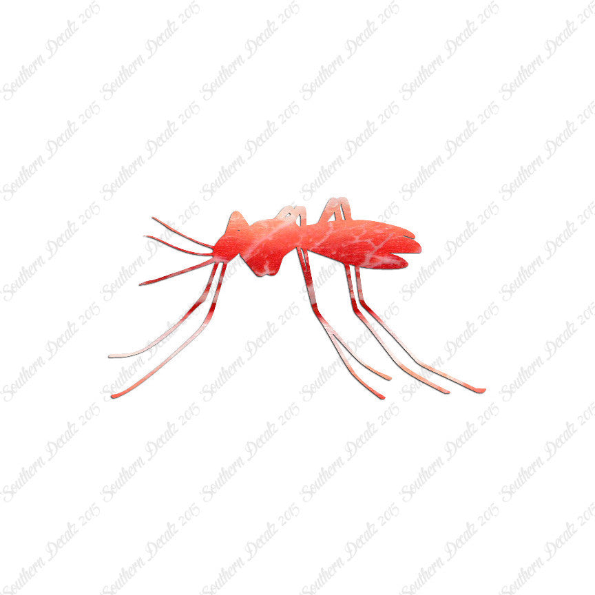 Mosquito Insect