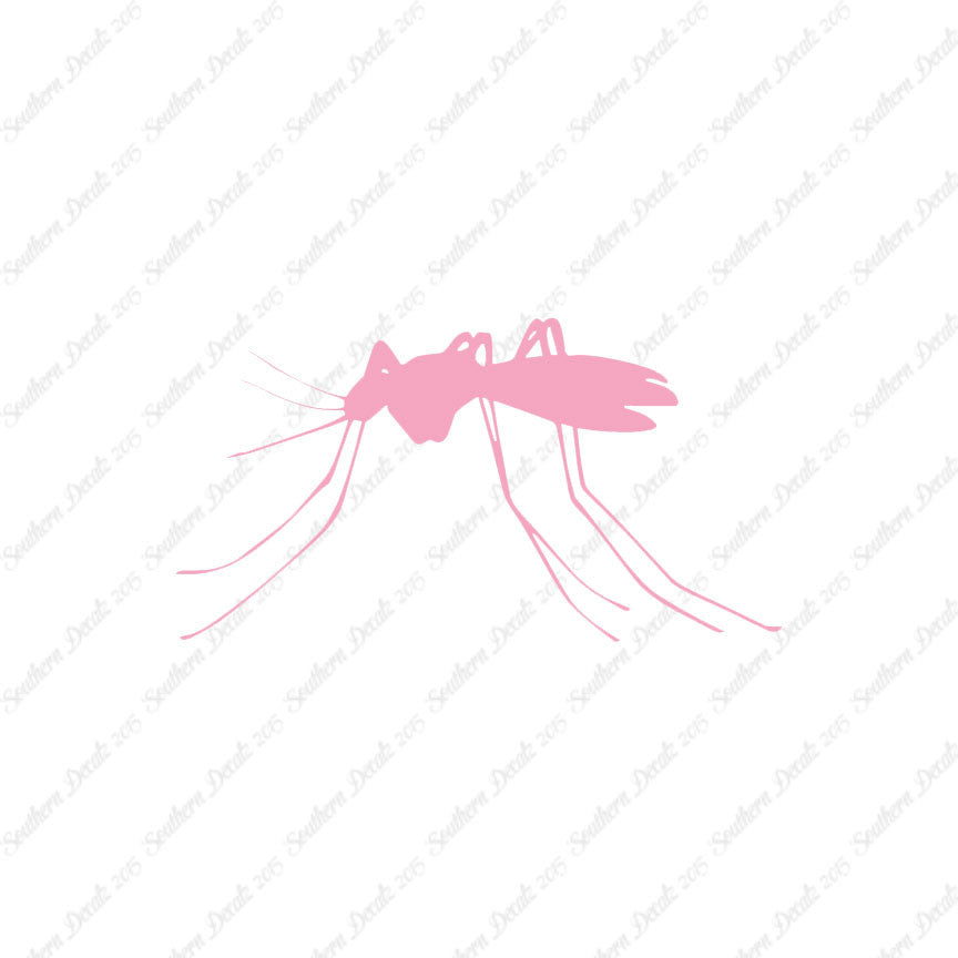 Mosquito Insect