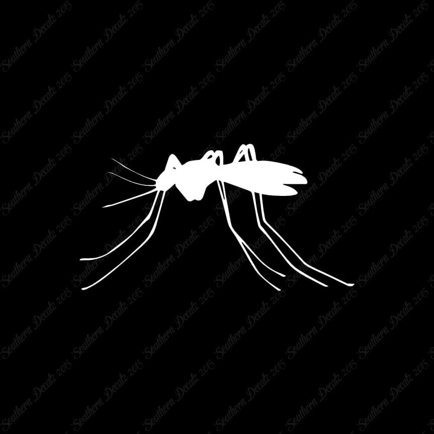 Mosquito Insect