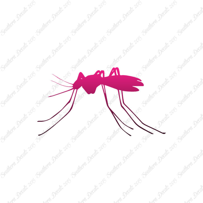 Mosquito Insect