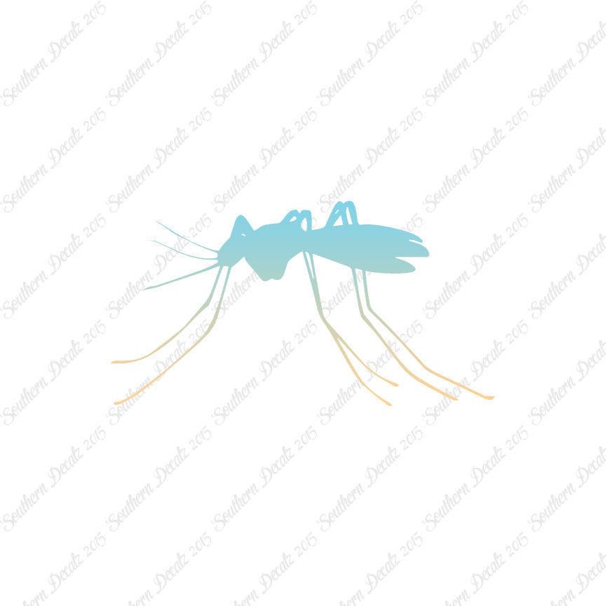 Mosquito Insect