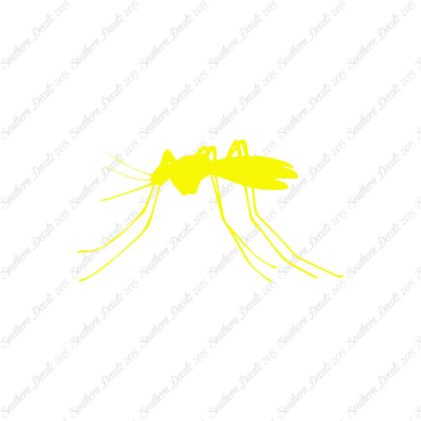 Mosquito Insect