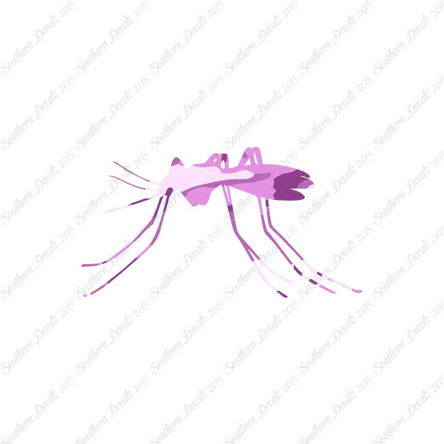 Mosquito Insect
