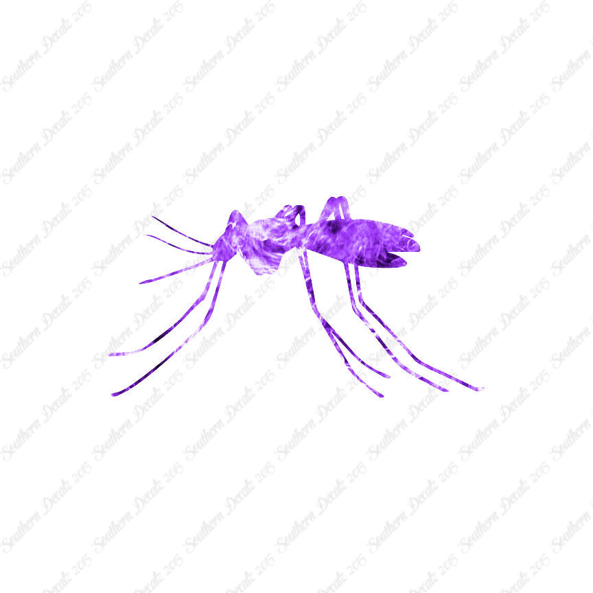 Mosquito Insect