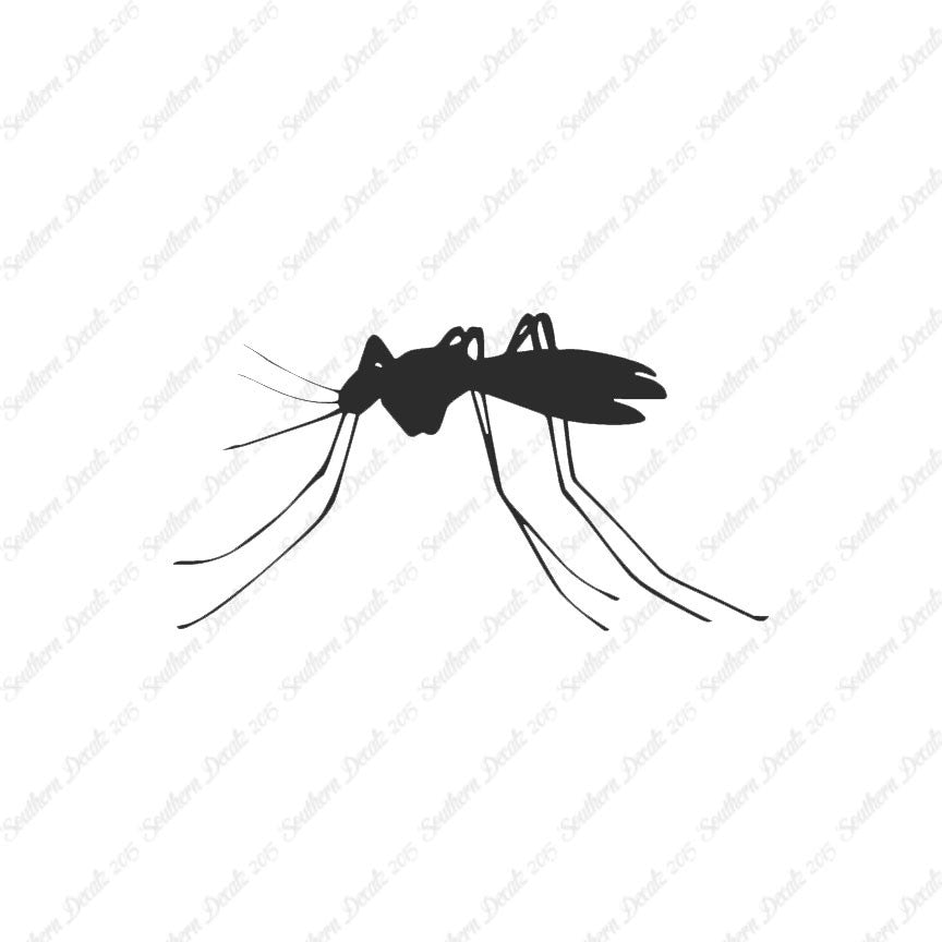 Mosquito Insect
