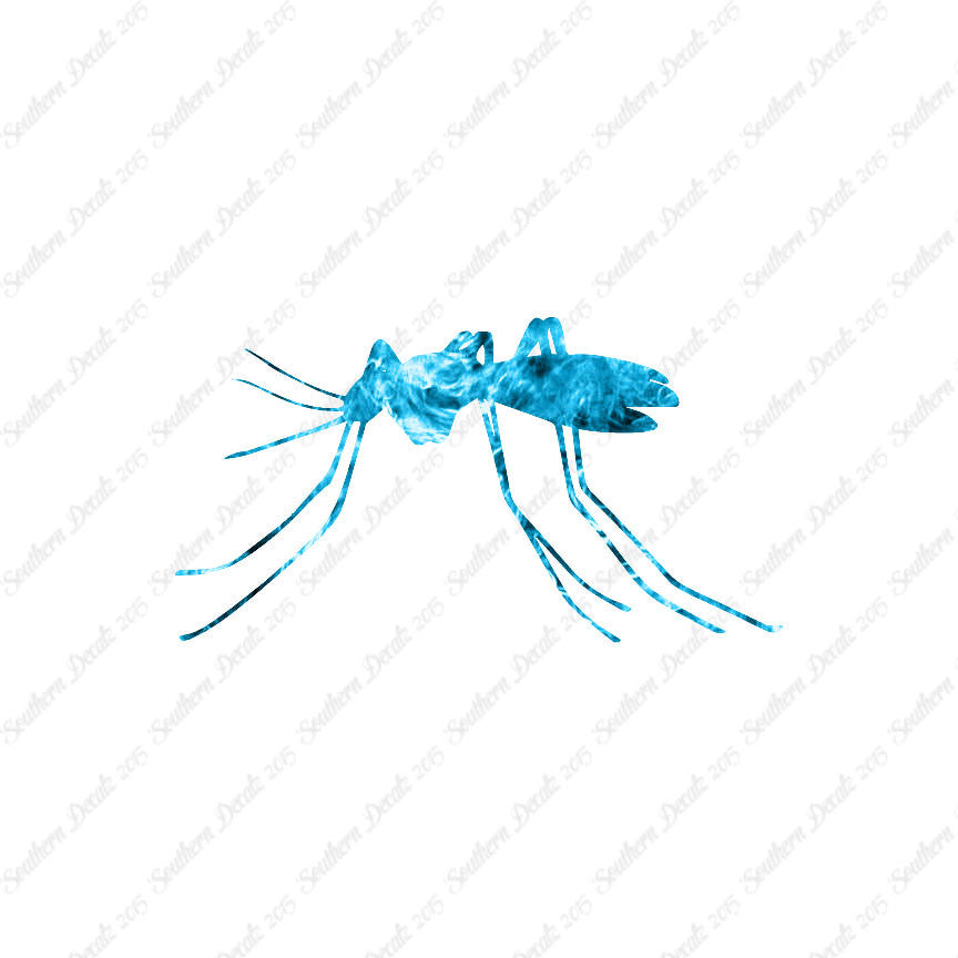 Mosquito Insect