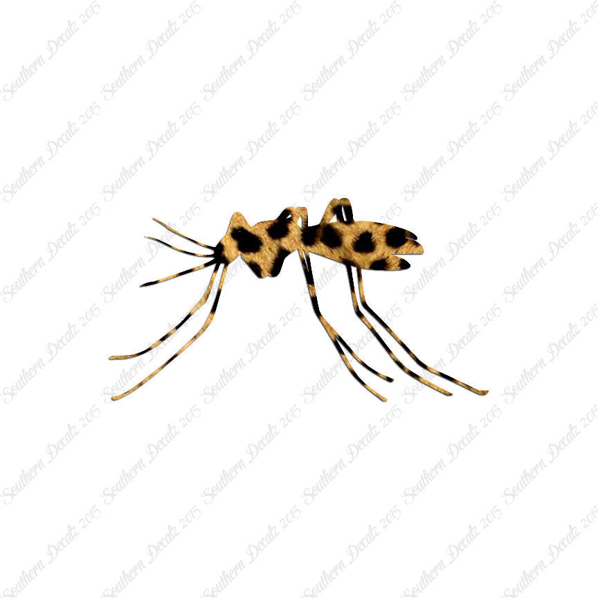 Mosquito Insect