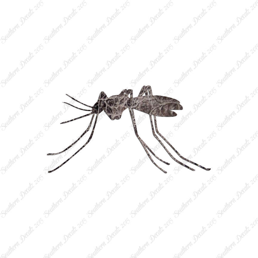 Mosquito Insect