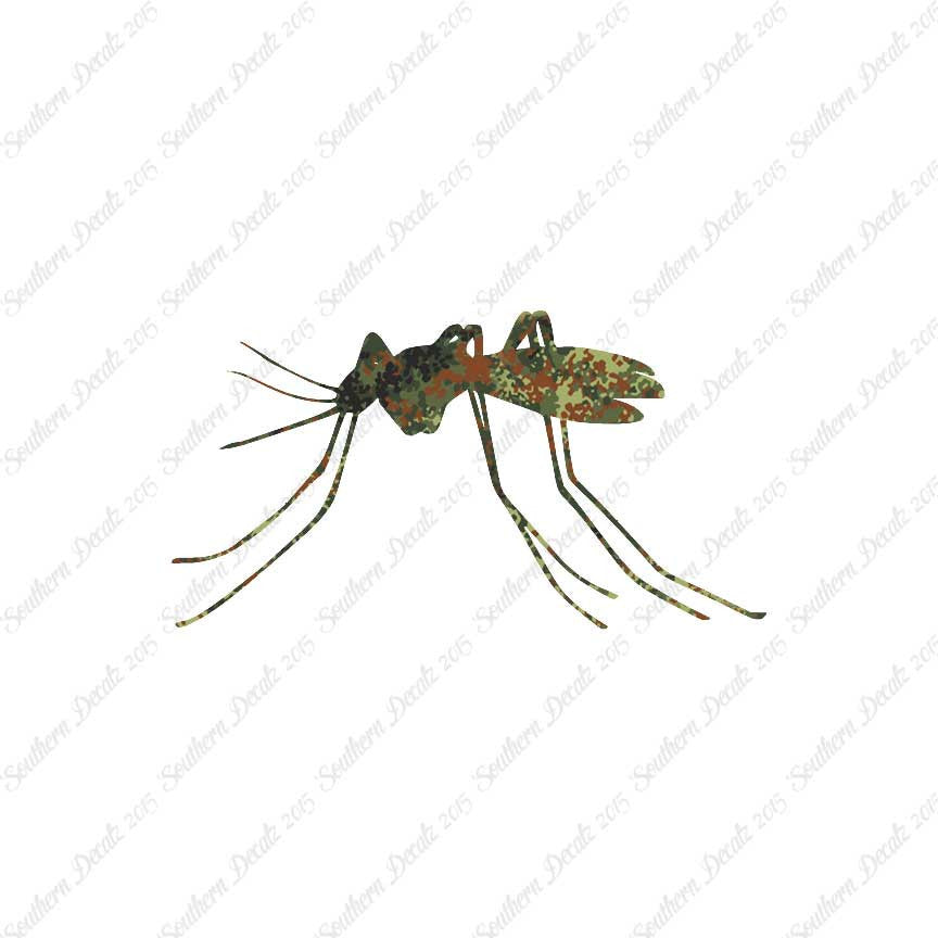 Mosquito Insect