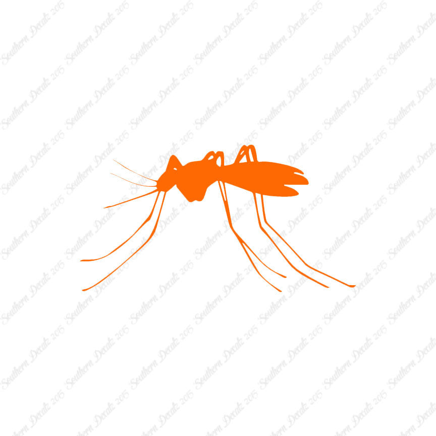 Mosquito Insect
