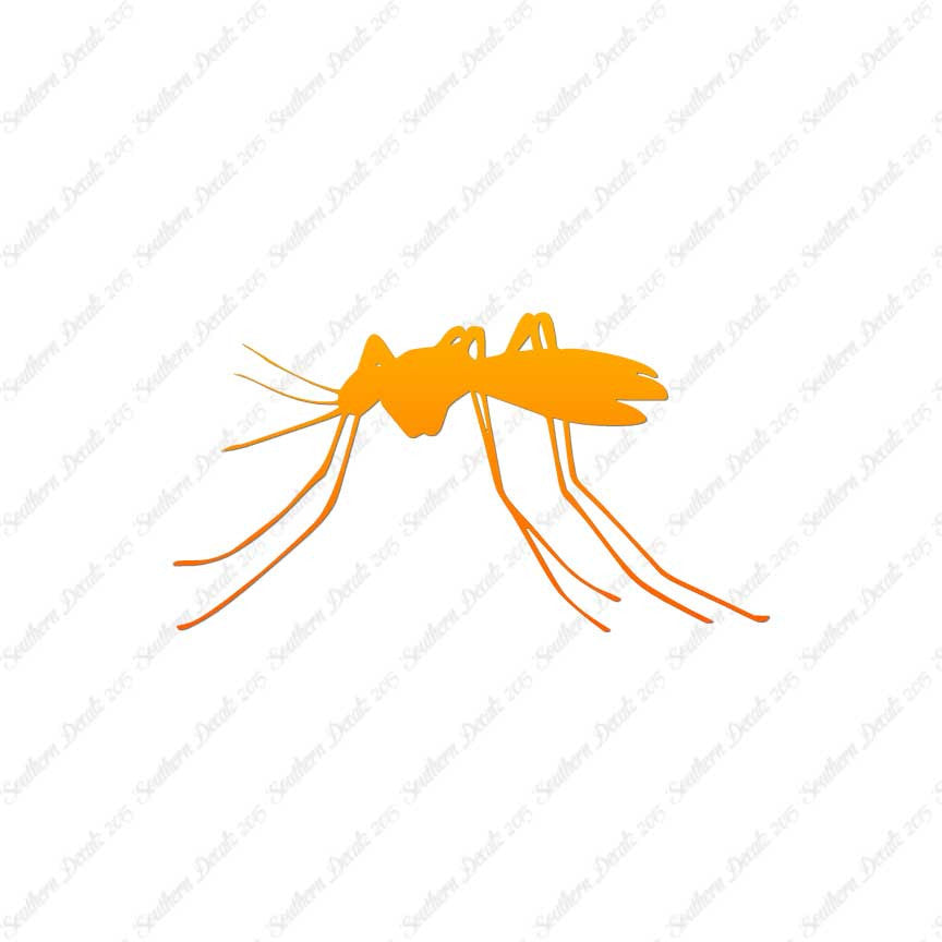 Mosquito Insect