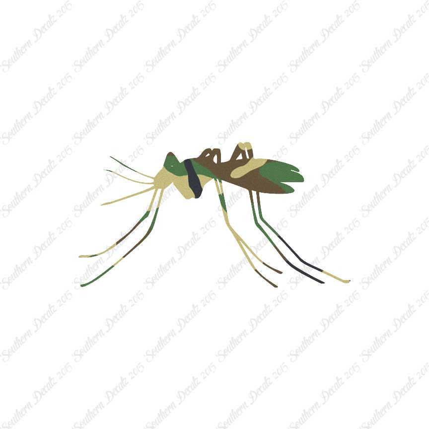 Mosquito Insect