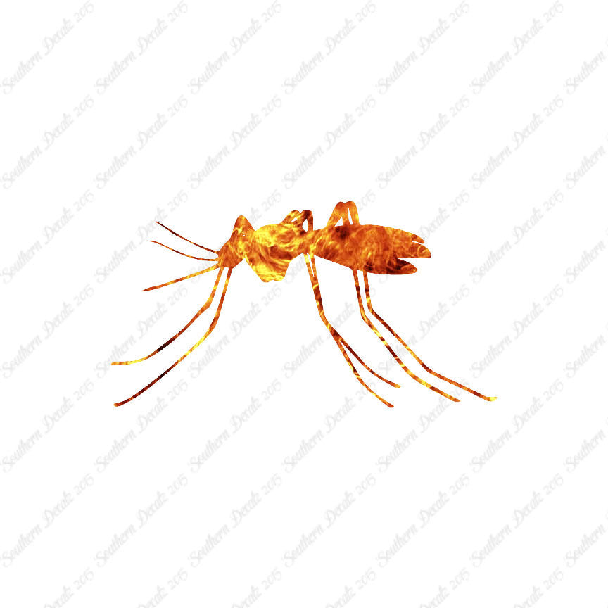 Mosquito Insect
