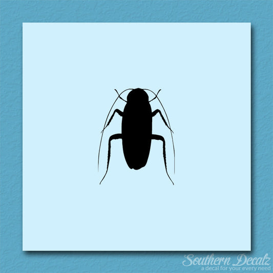 Water Beetle Cockroach